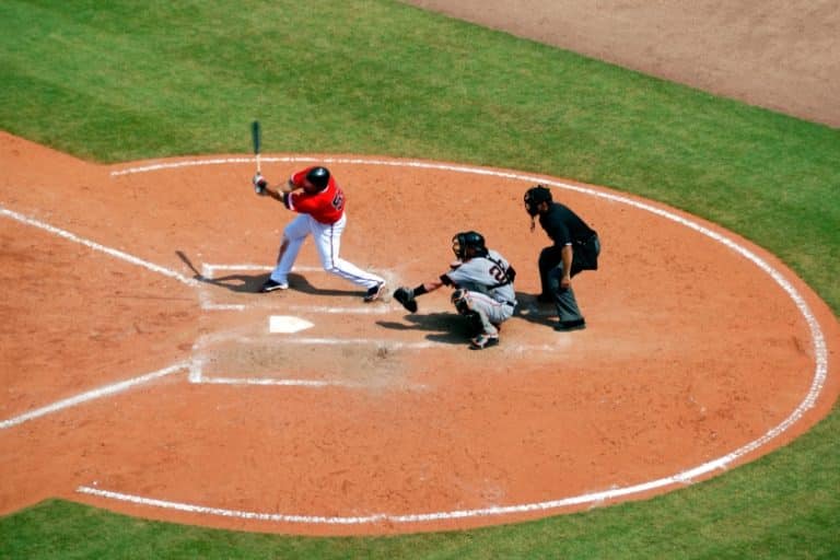 baseball in summer